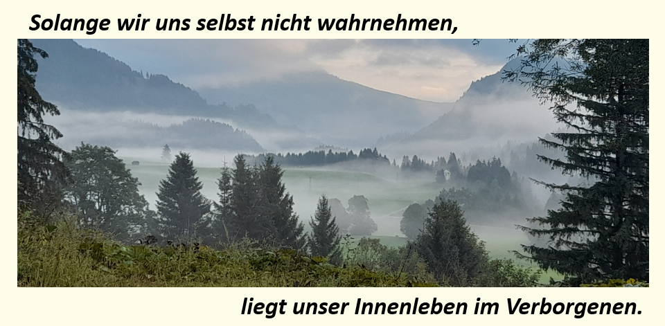 Solange wir uns selbst nicht wahrnehmen,.liegt unser Innenleben im Verborgenen.