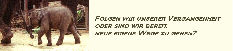 Erfahrungen - neue Wege beschreiten